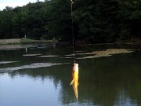 photos2011003334