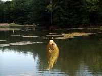 photos2011003335