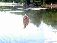 photos2011003341