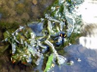 photos2011003348