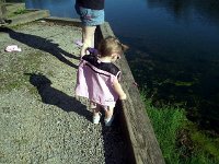 photos2011003351
