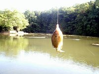 photos2011003356
