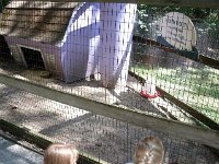 photos2011003930