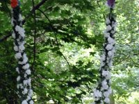 photos2011003952