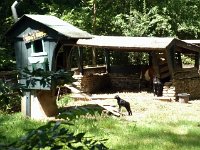 photos2011003956