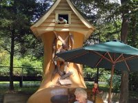 photos2011004003