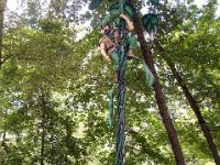 photos2011004005