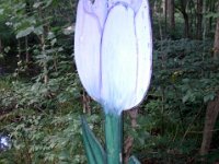 photos2011003812