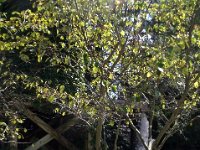 photos2011003846