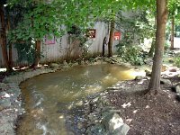 photos2011003851