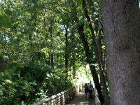photos2011003892