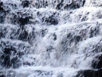 photos2011003576