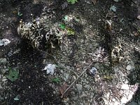photos2011003590