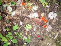 photos2011003541