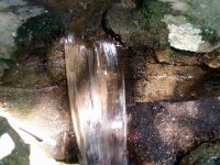 photos2011003542