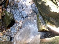 photos2011003544