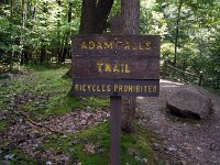 photos2011003545