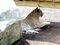 photos2011003652