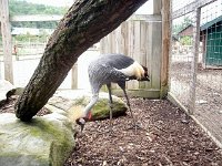 photos2011003653