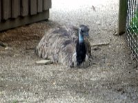 photos2011003654