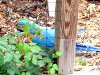 photos2011003660