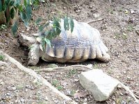 photos2011003663