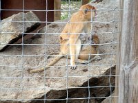 photos2011003664