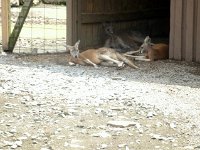 photos2011003666