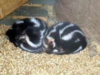 photos2011003667