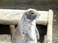 photos2011003668