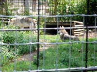 photos2011003670