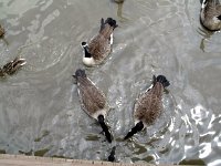 photos2011003672