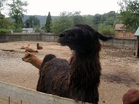 photos2011003674