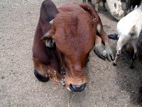 photos2011003675
