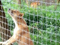 photos2011003676