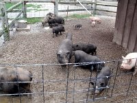 photos2011003677