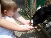 photos2011003679