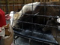 photos2011003680