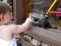 photos2011003681