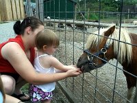 photos2011003683