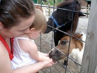 photos2011003684