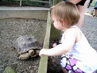 photos2011003685