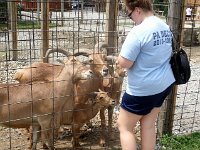 photos2011003686