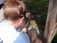 photos2011003687