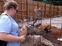photos2011003688