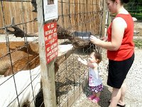 photos2011003689