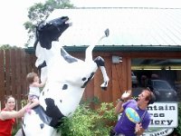photos2011003704