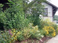 photos2011003394