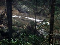photos2011003417