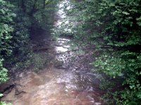 photos2011003426